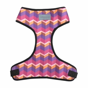 Geometrical Dark Harness