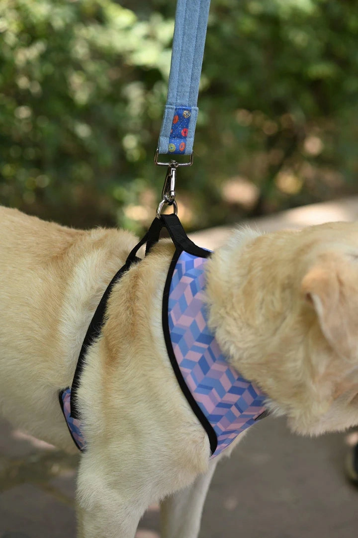 Geometrical Light Harness
