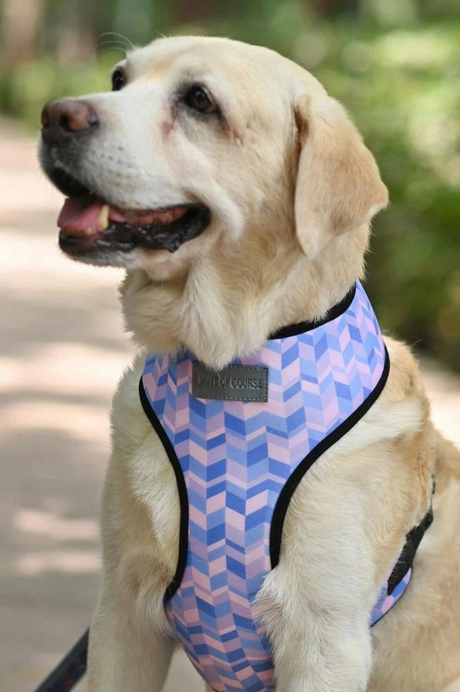 Geometrical Light Harness