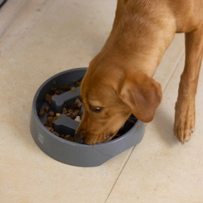 Go Slow Bone Dog Bowl Feeder 1300ml by House of Paws