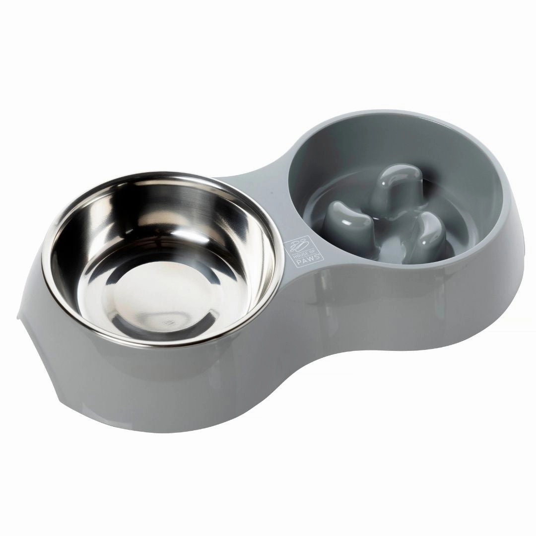 Go Slow Dog Bowl Dual Set 750ml by House of Paws
