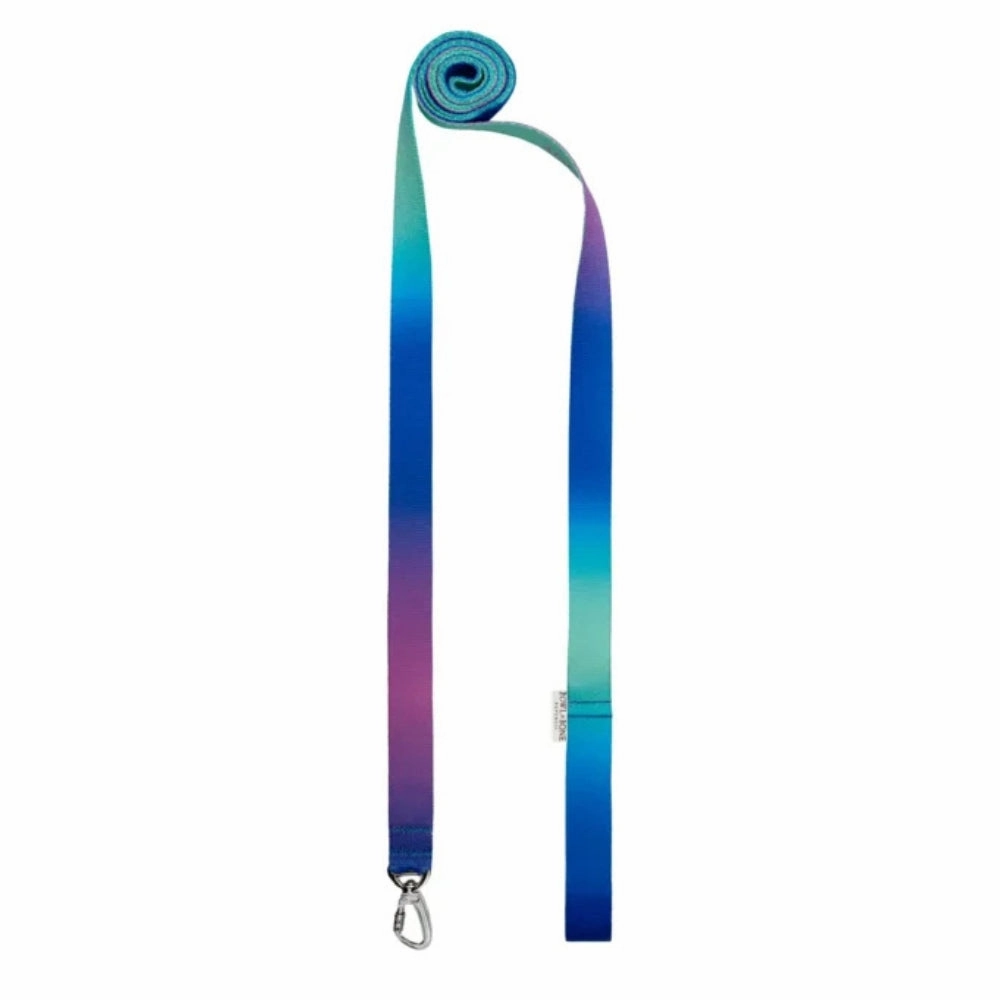 Gradient Mint Dog Harness