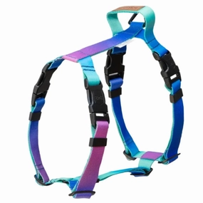 Gradient Mint Dog Harness