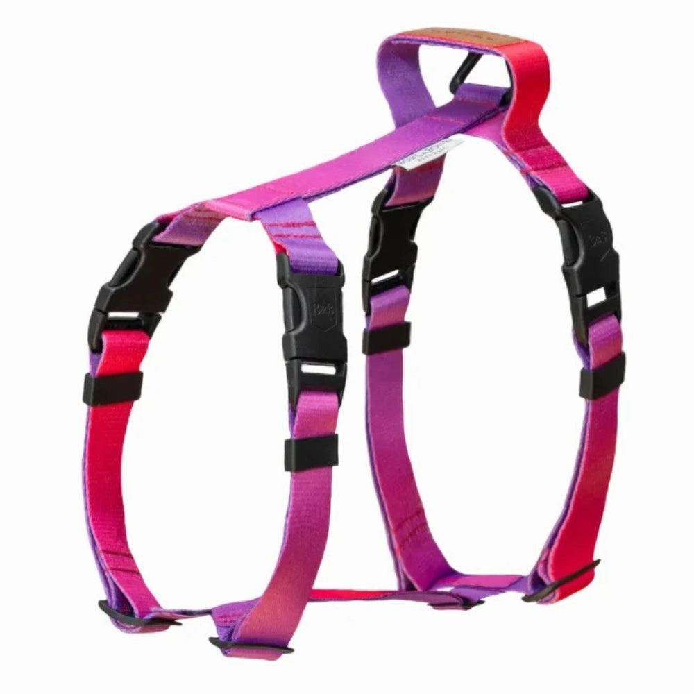 Gradient Tango Dog Harness