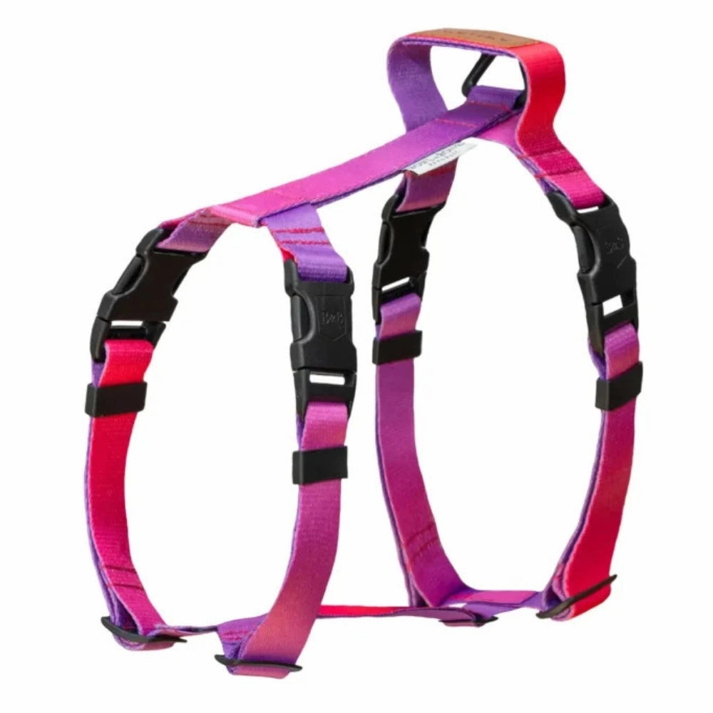 Gradient Tango Dog Harness