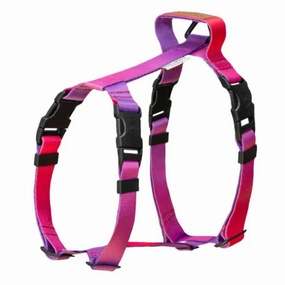 Gradient Tango Dog Harness