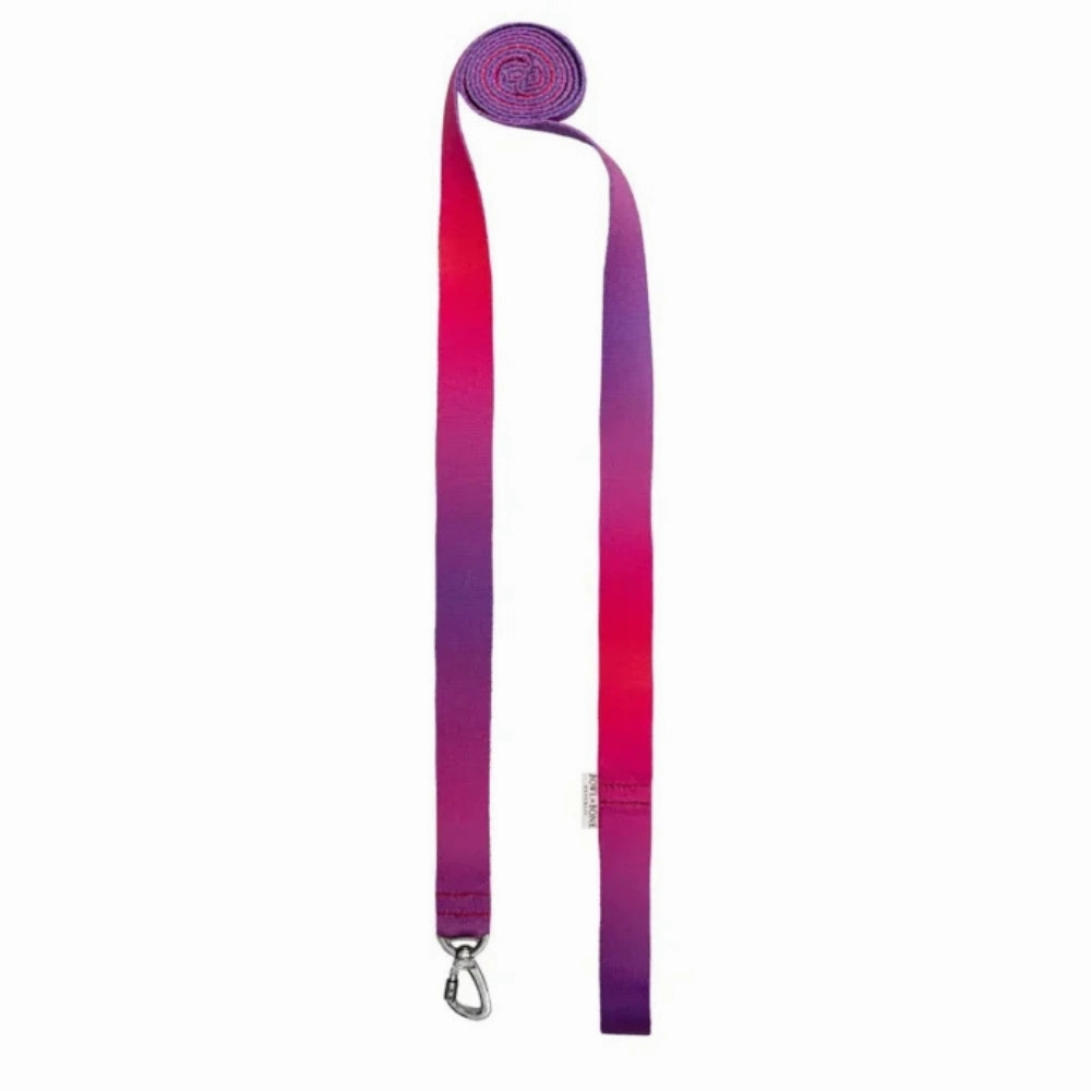 Gradient Tango Dog Harness