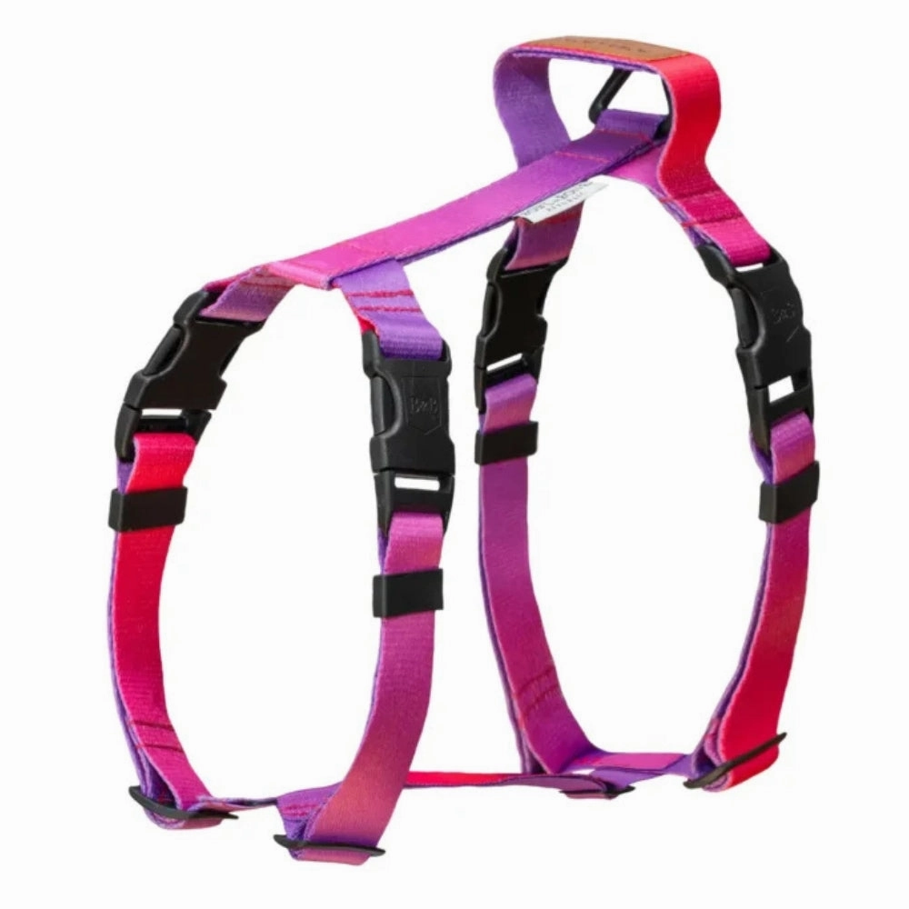 Gradient Tango Dog Harness