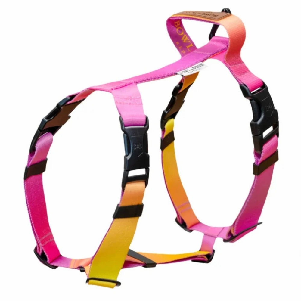 Gradient Yellow Dog Harness
