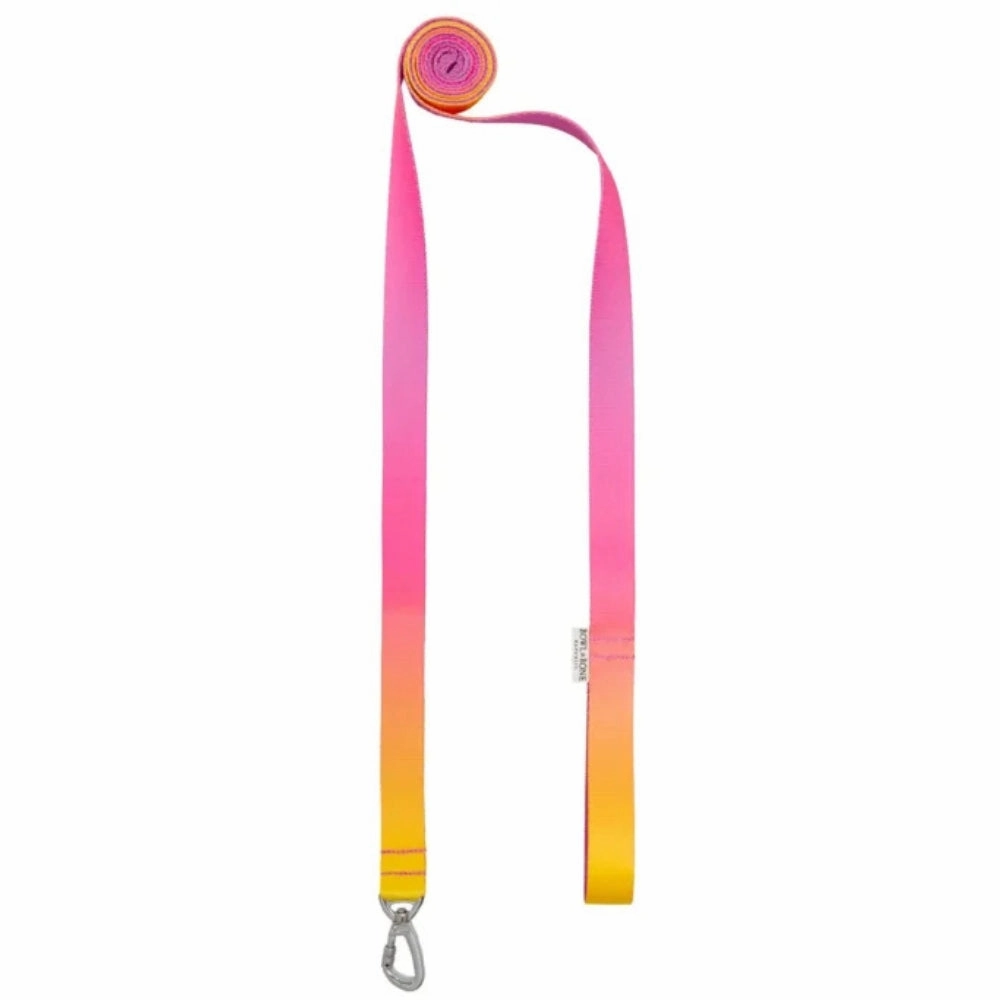 Gradient Yellow Dog Harness