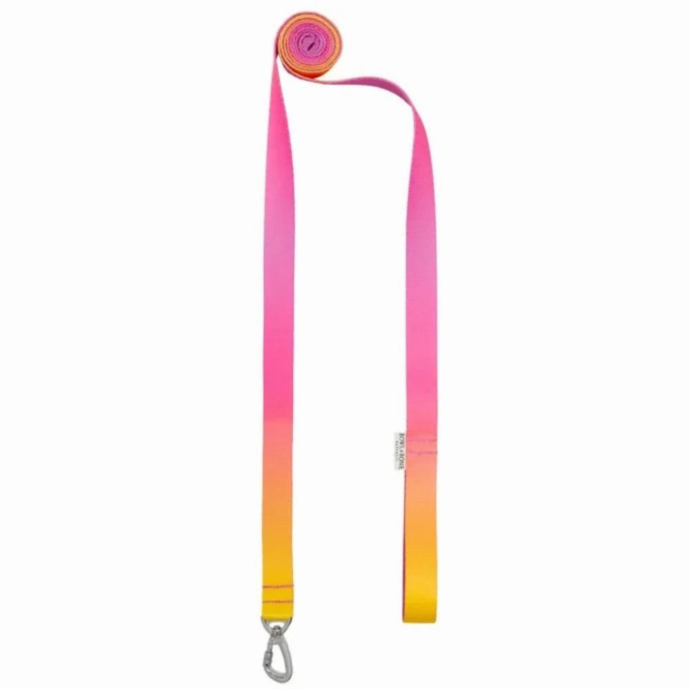 Gradient Yellow Dog Harness