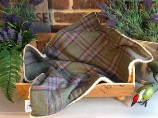 Green Beau Tweed Dog Blanket