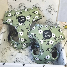 Green Meadow Daisy Dog Harness