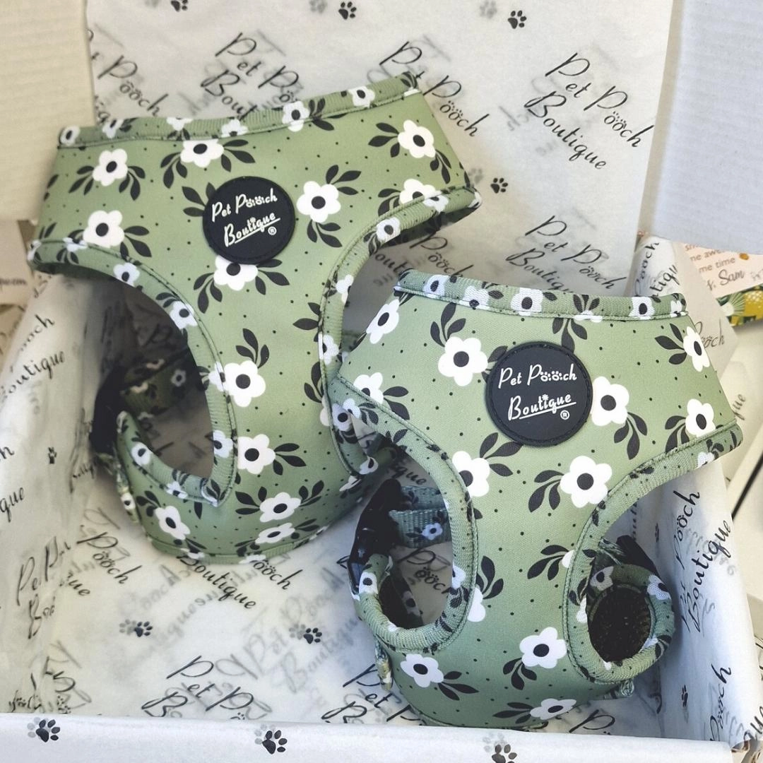 Green Meadow Daisy Dog Harness