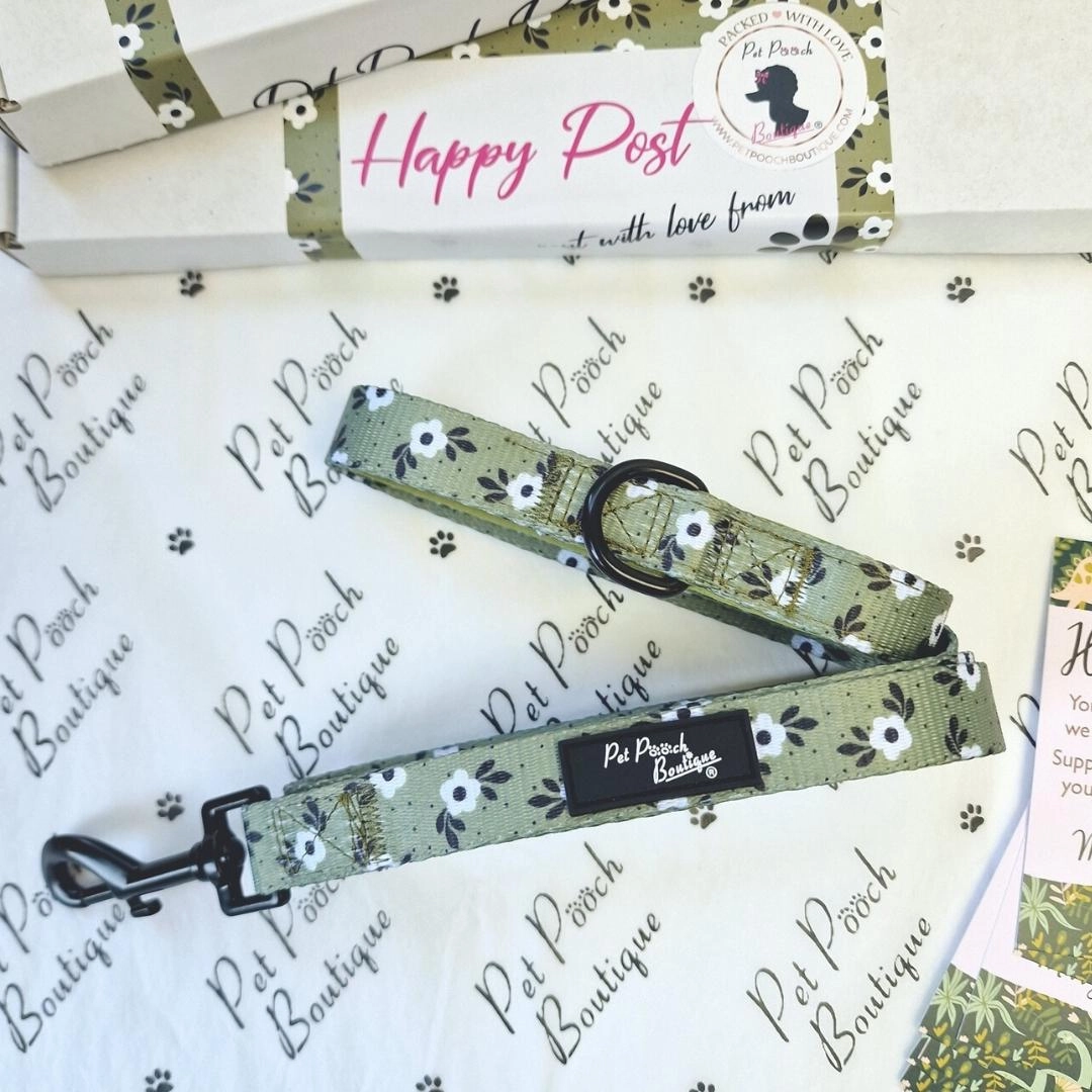 Green Meadow Daisy Dog Harness