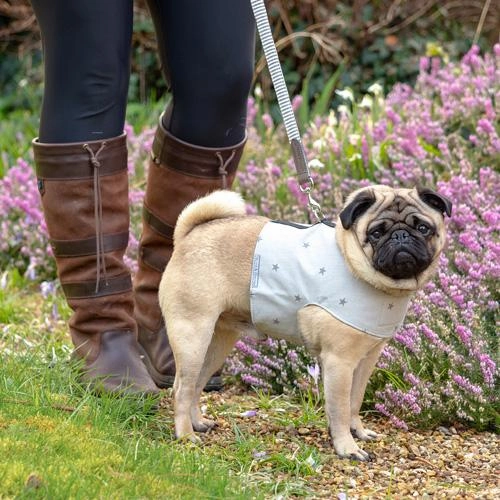 Grey Stars Soft Dog Harness