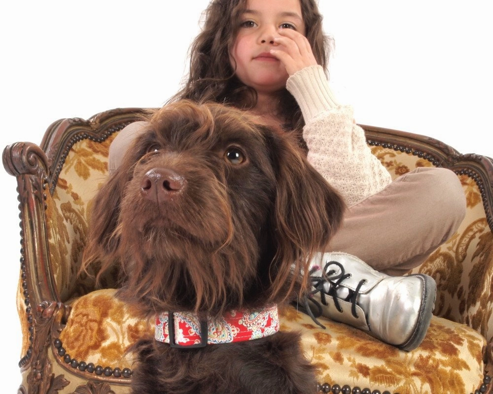 Gypsy Designer Dog Collar and Lead Set