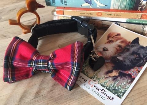 Hamish McHandsome Bow Tie Designer Dog Collar