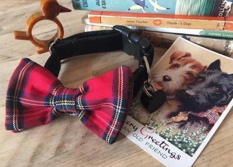 Hamish McHandsome Bow Tie Designer Dog Collar