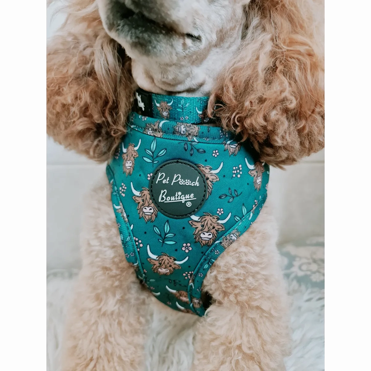 Happy Highland Cow Dog Collar