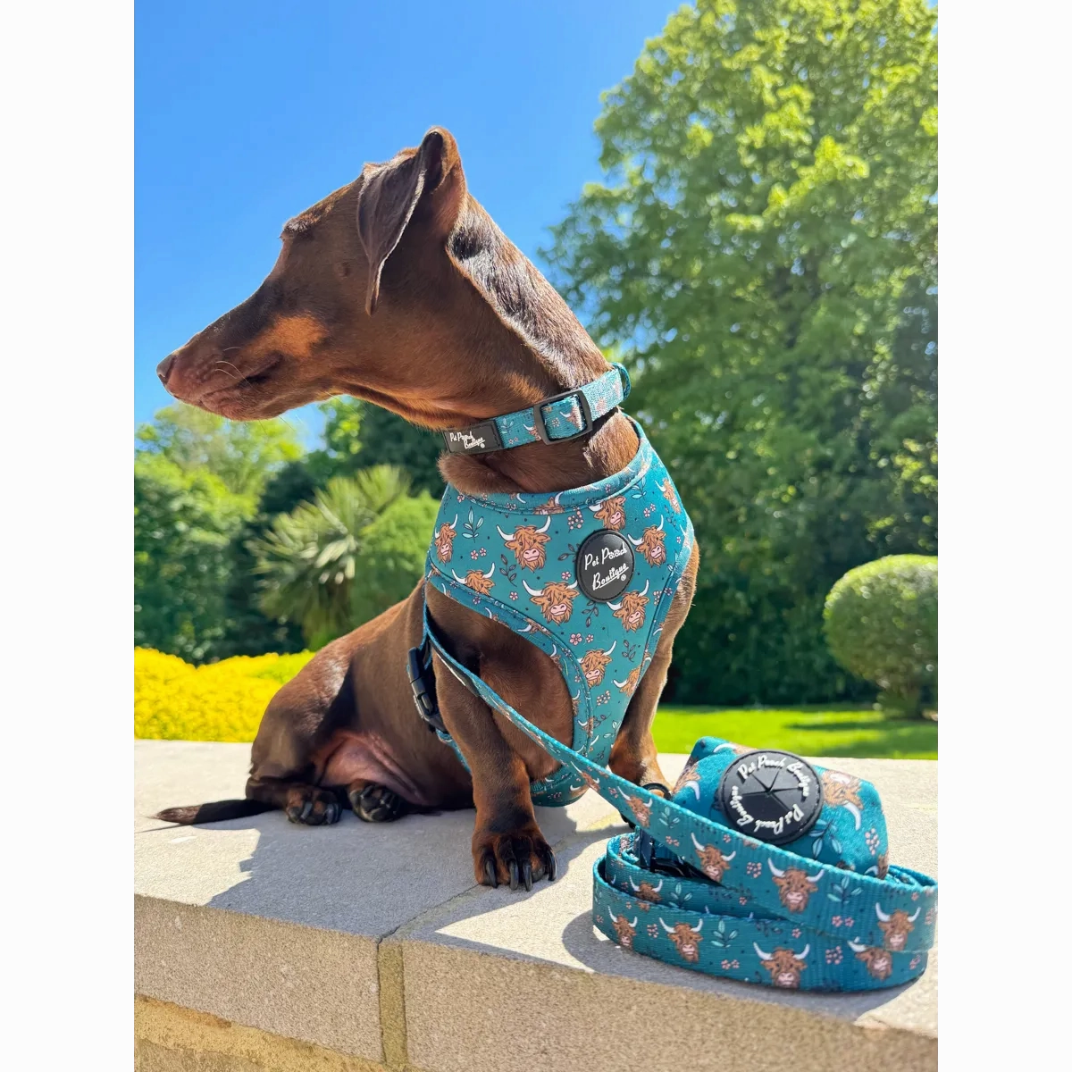 Happy Highland Cow Dog Harness