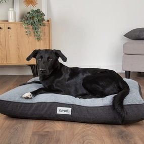 Harvard Memory Foam Mattress Dog Bed - Graphite Grey