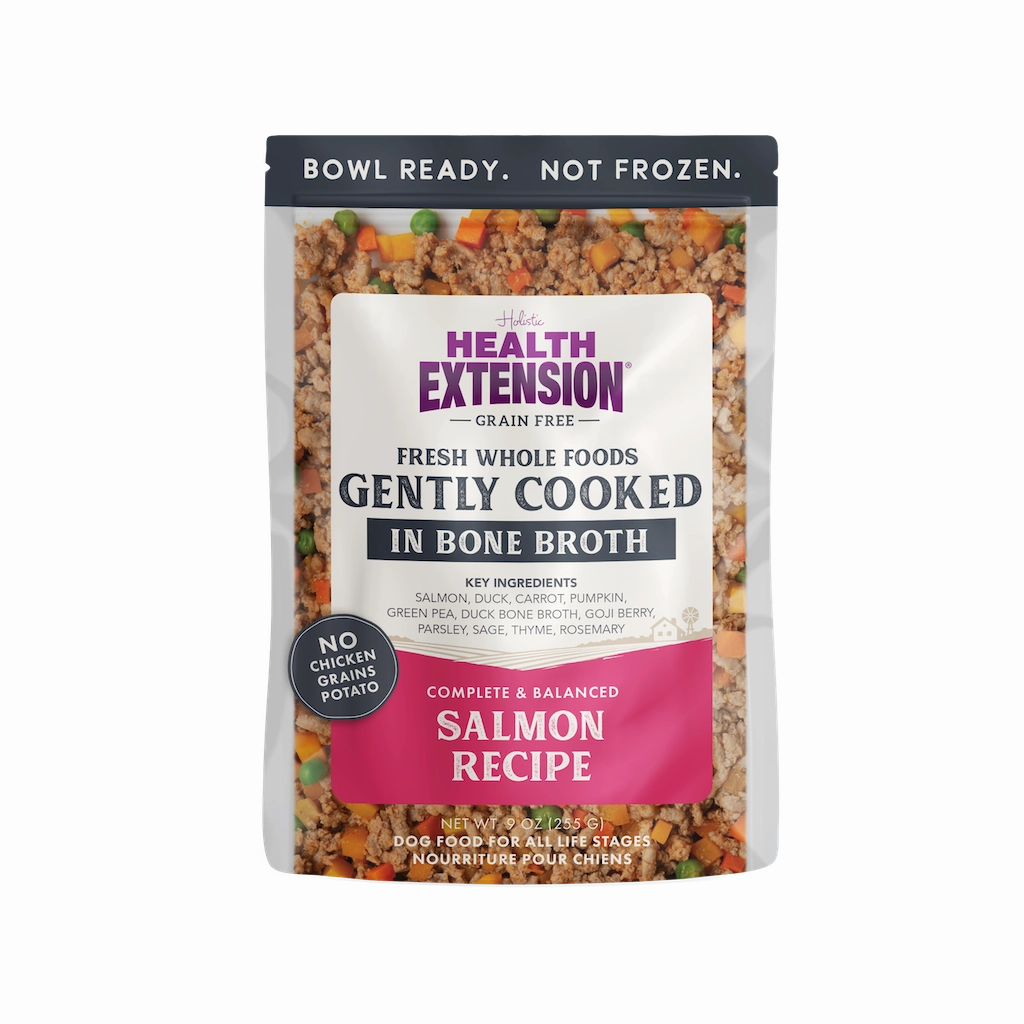 Health Extension Gently Cooked Salmon Dog Food 9oz