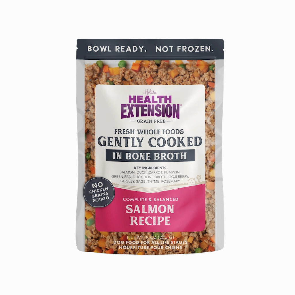 Health Extension Gently Cooked Salmon Dog Food 9oz