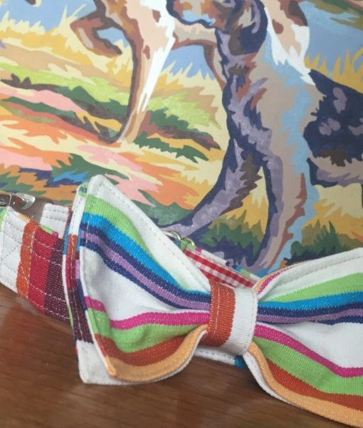 Hello Sailor Stripe Bow Tie Designer Dog Collar