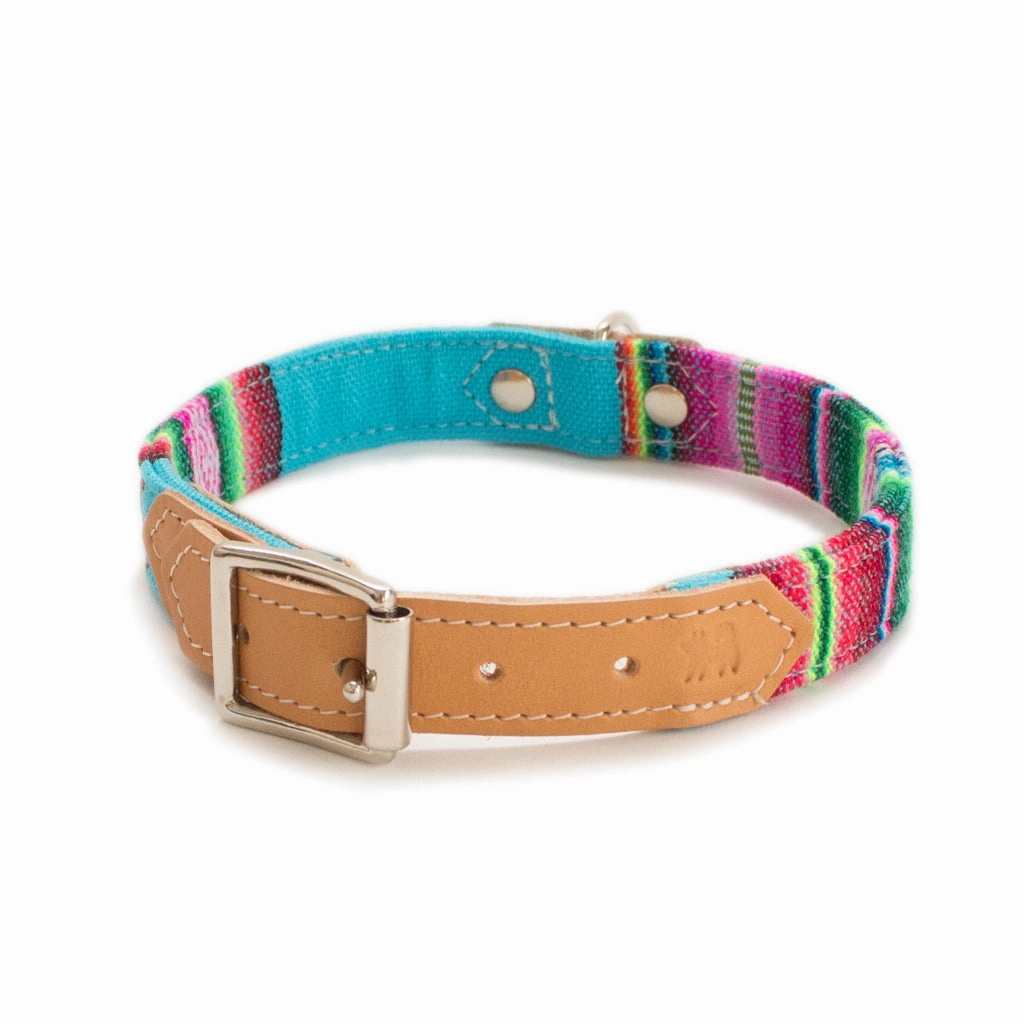 Hiro And Wolf Blue Inca Dog Collar