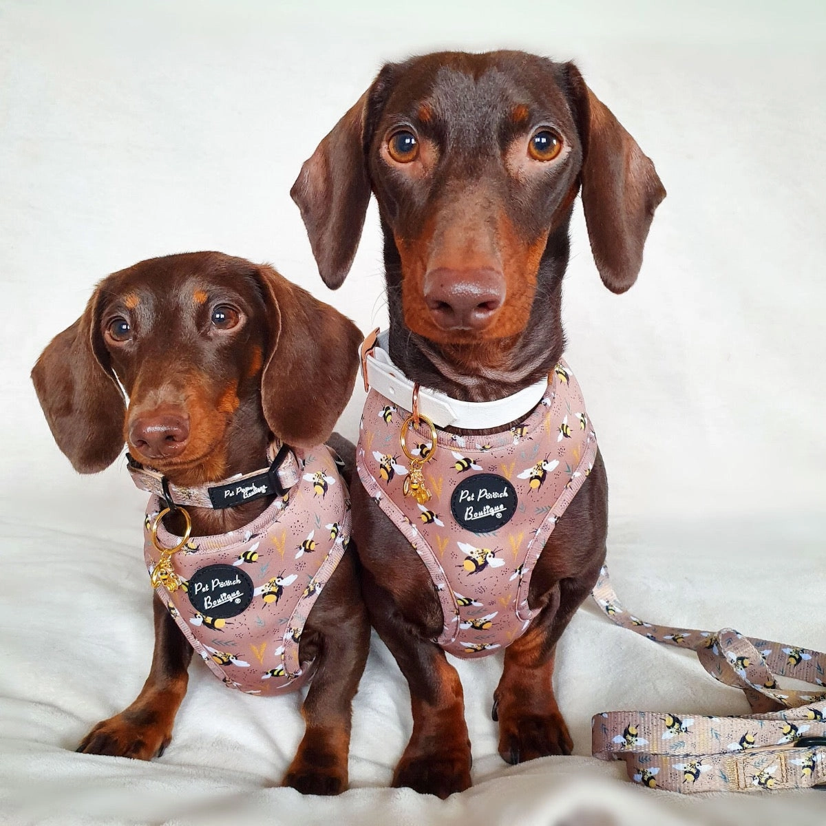 Honey Bumble Bee Dog Harness