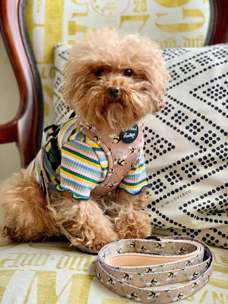 Honey Bumble Bee Dog Harness