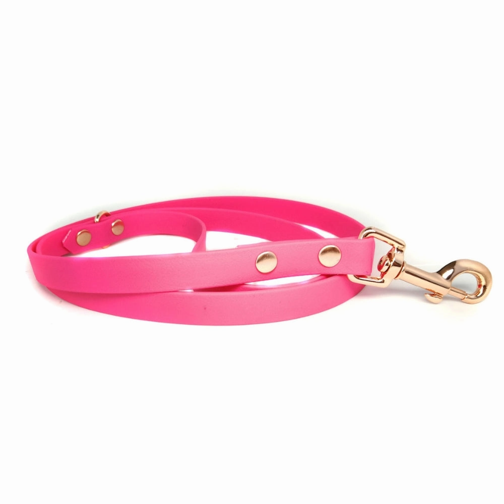 Hot Pink Biothane Vegan Dog Collar