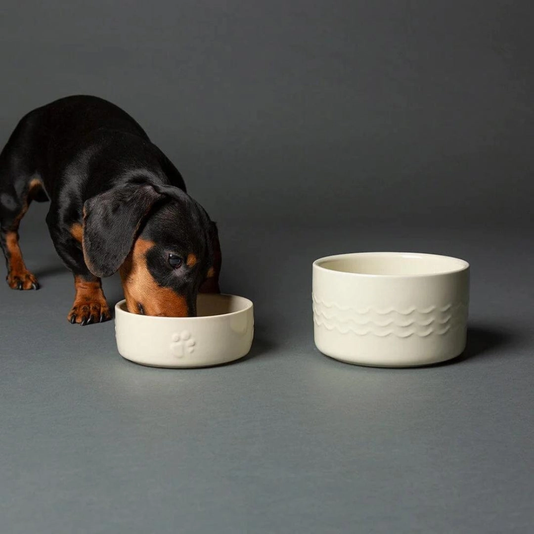 Icon 2 Piece Dog Food & Water Bowl Set - Cream
