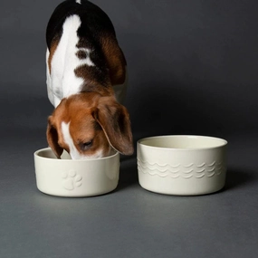 Icon 2 Piece Dog Food & Water Bowl Set - Cream