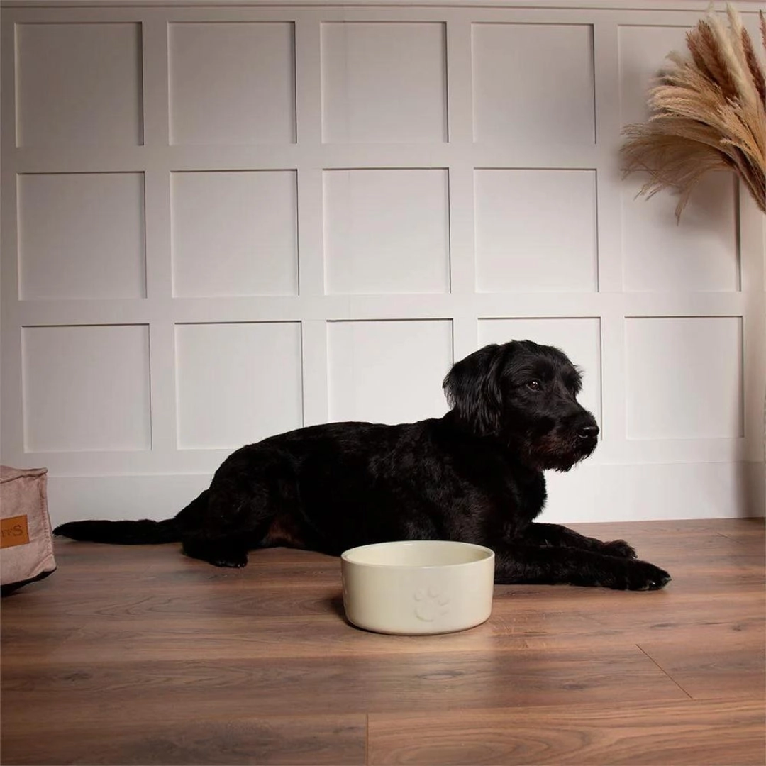 Icon 2 Piece Dog Food & Water Bowl Set - Cream