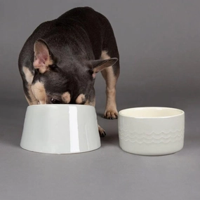 Icon 2 Piece Flat Faced Dog Food & Water Bowl - Light Grey