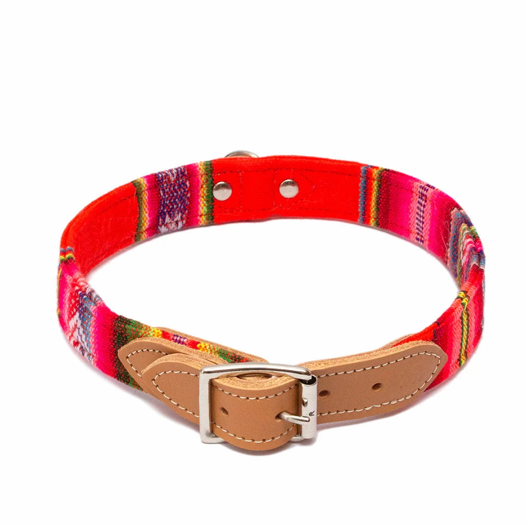 Inca Orange Dog Collar by Hiro & Wolf