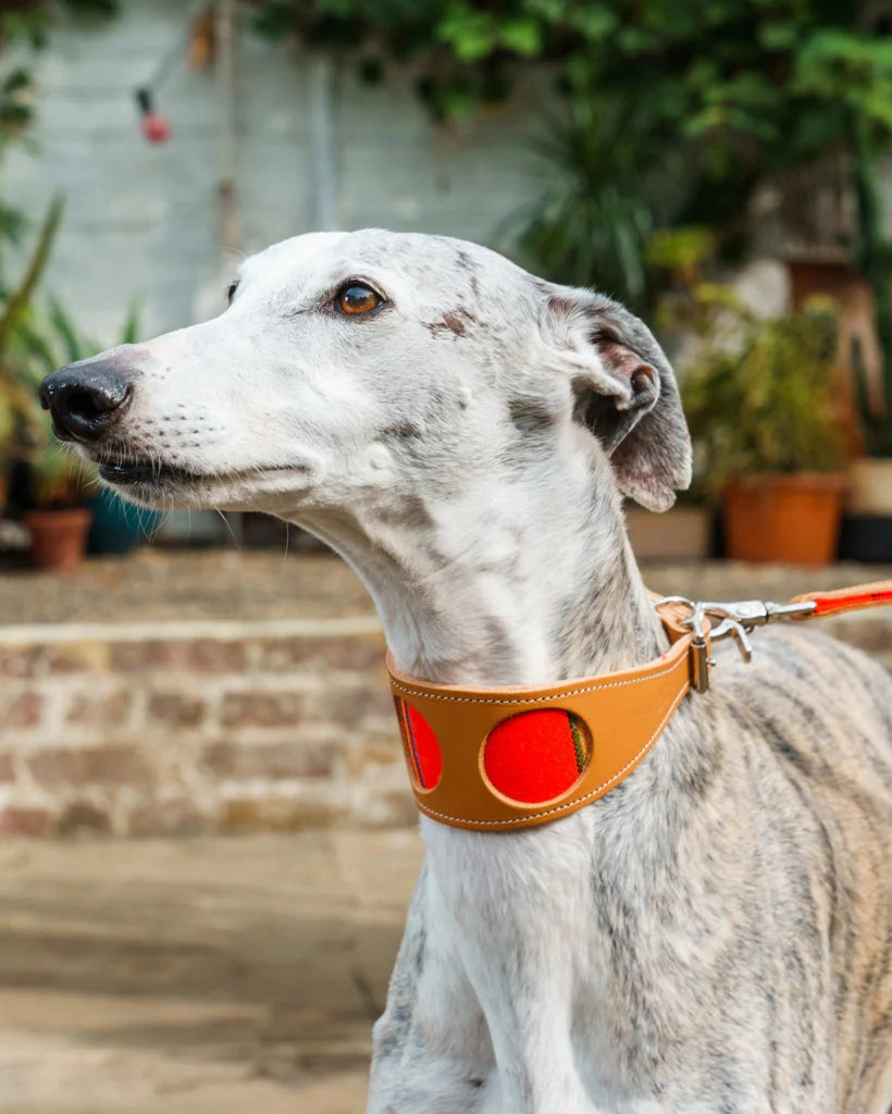 Inca Orange Hound Collar by Hiro And Wolf