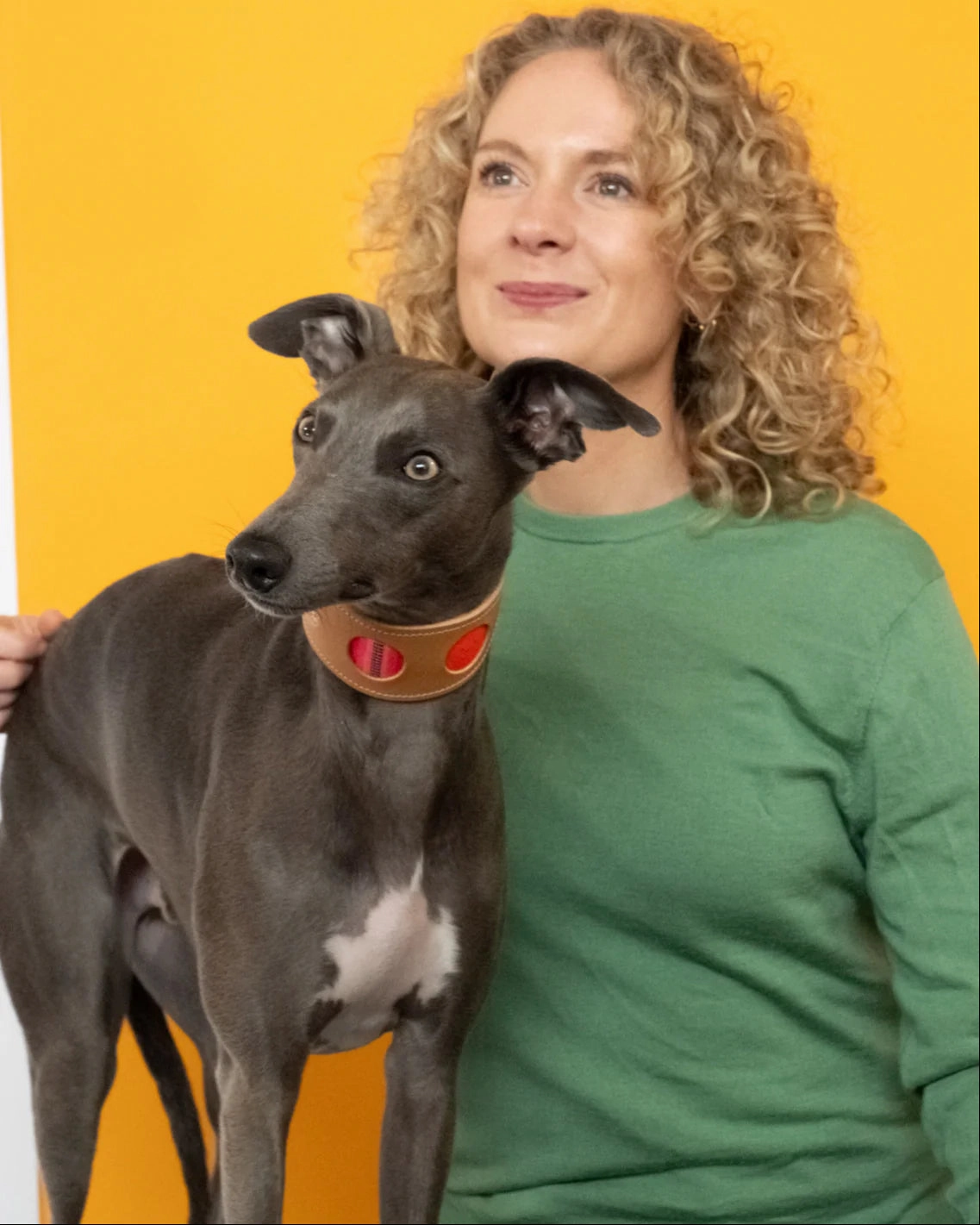 Inca Orange Hound Collar by Hiro And Wolf