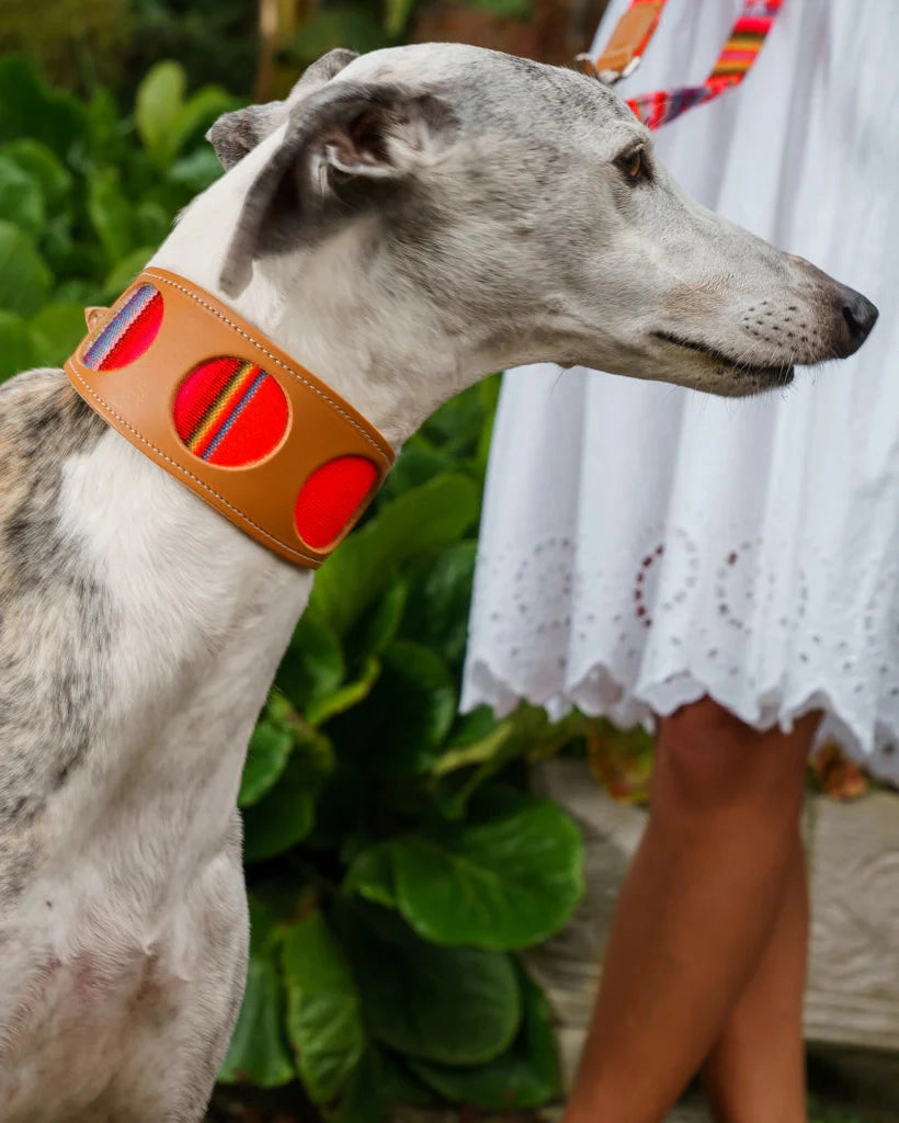 Inca Orange Hound Collar by Hiro And Wolf