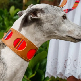 Inca Orange Hound Collar by Hiro And Wolf