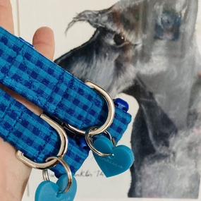Ives Turquoise Check Dog Collar with Velvet Lining