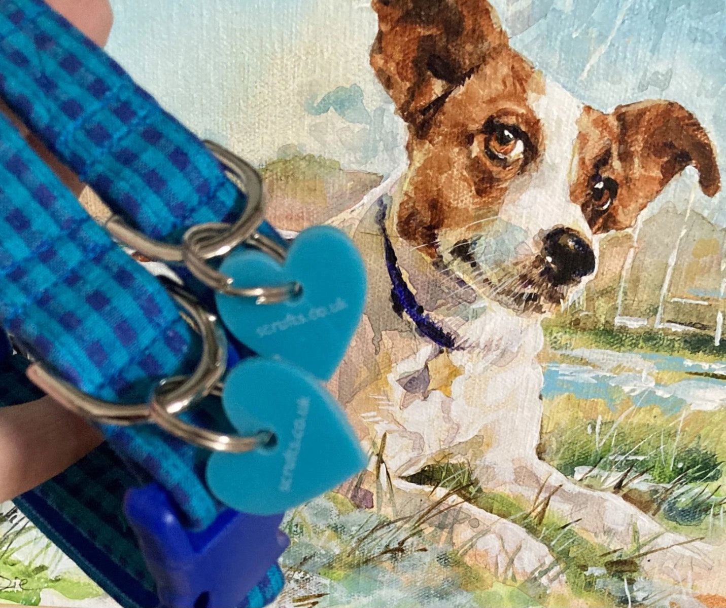Ives Turquoise Check Dog Collar with Velvet Lining