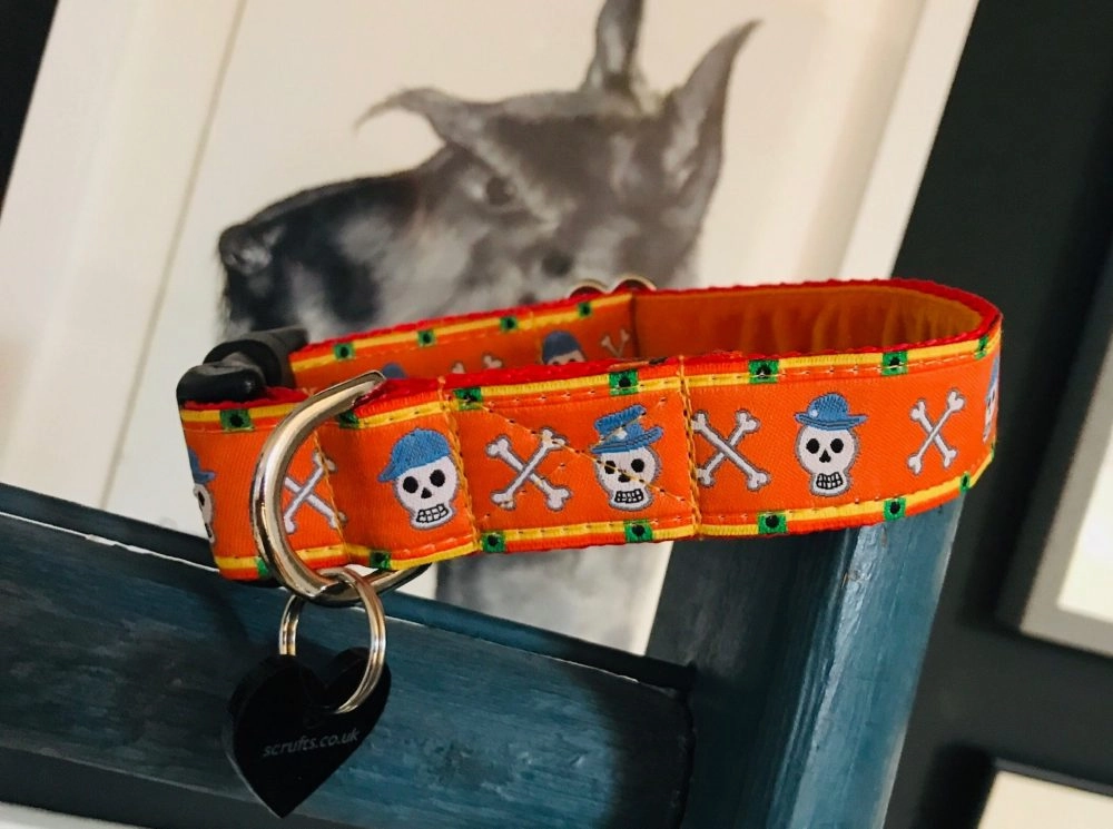 Jack o'Lantern Halloween Velvet Lined Designer Dog Collar