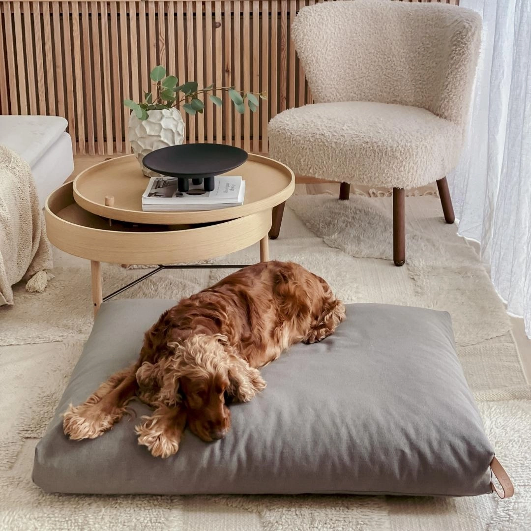 KiiMA Dark Grey Cushion Dog Bed by Labbvenn