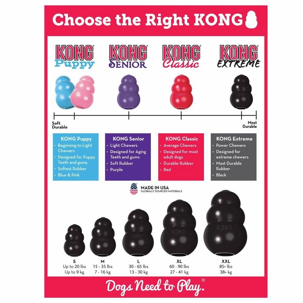 KONG Puppy