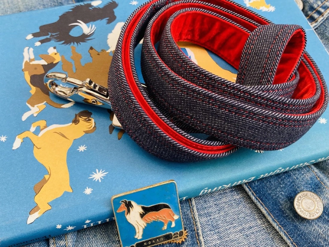 Levi Denim Designer Dog Collar