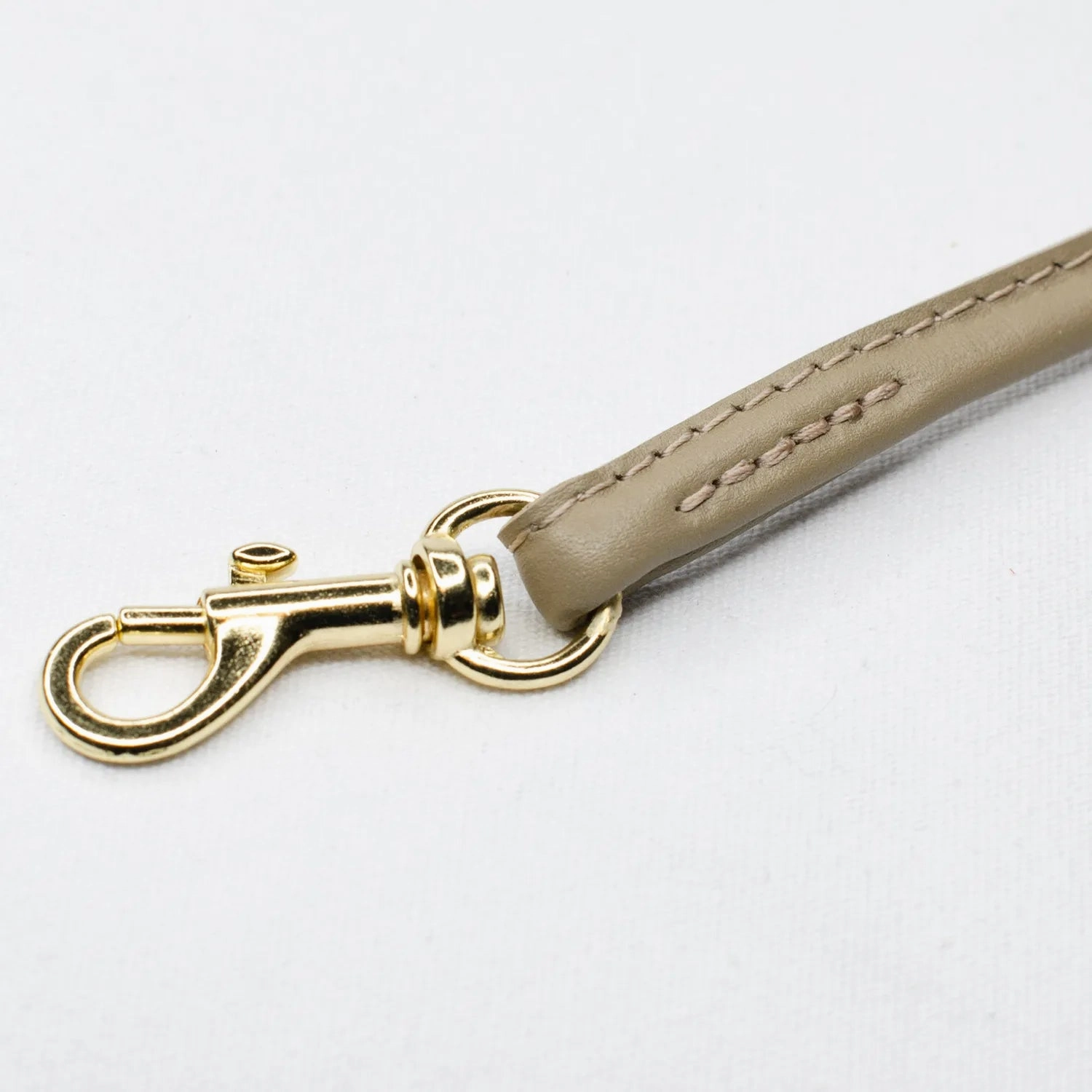 Lightweight Leather Tag Dog Collar With Brass by Petiquette