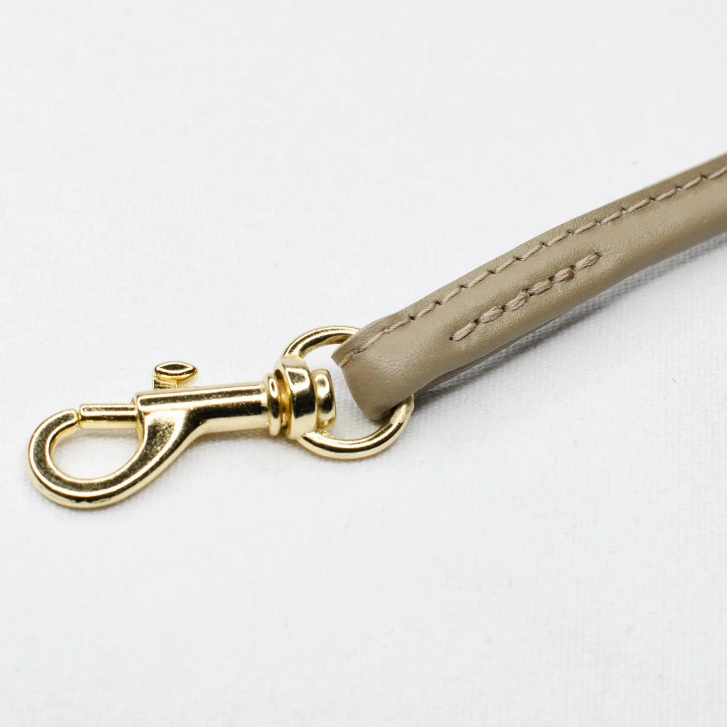Lightweight Leather Tag Dog Collar With Brass by Petiquette
